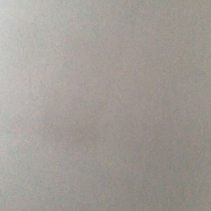 Meet your Posher, Dylana